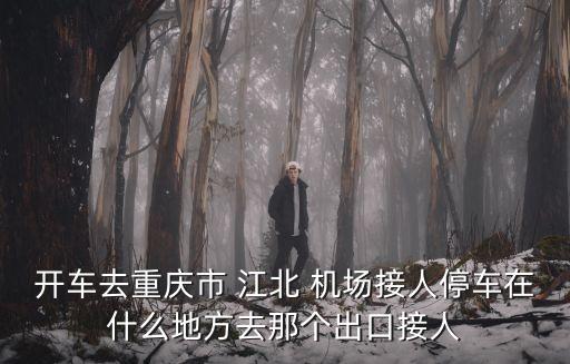 江北国际机场接机,重庆江北国际机场接机在哪里
