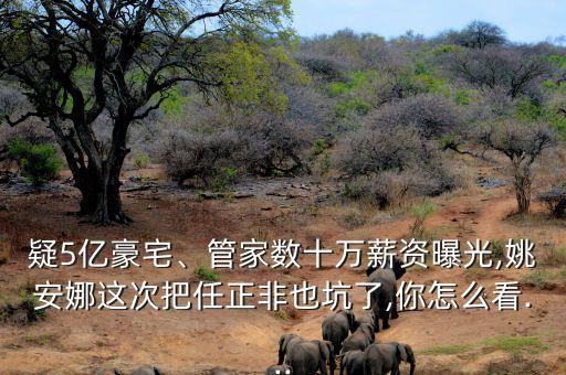 国外豪华别墅图片,豪华别墅大门图片大全