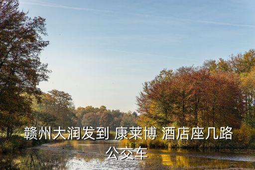 赣州康莱博精品国际酒店地址,康莱博国际酒店(赣州嘉福店)怎么样