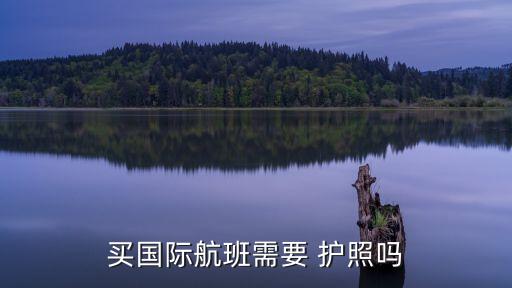 没有护照号怎么买国外机票