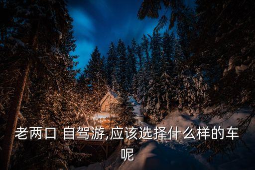 两个人在国外自驾租什么车型好