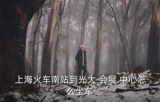 上海南到国际会展中心,长沙南到国际会展中心怎么走