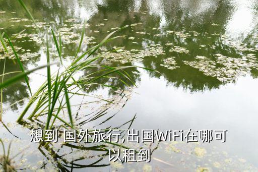 国外移动wifi去哪里租,新加坡随身wifi去哪里租