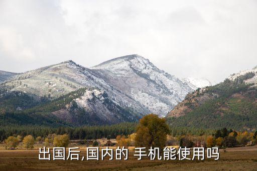 中国手机在国外怎么用,从国外打中国手机怎么打