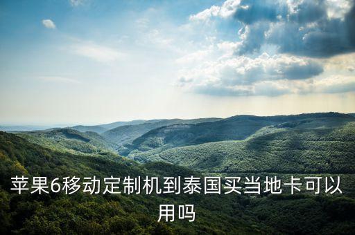 A1586支持国外的卡啊,什么手机支持国外的卡