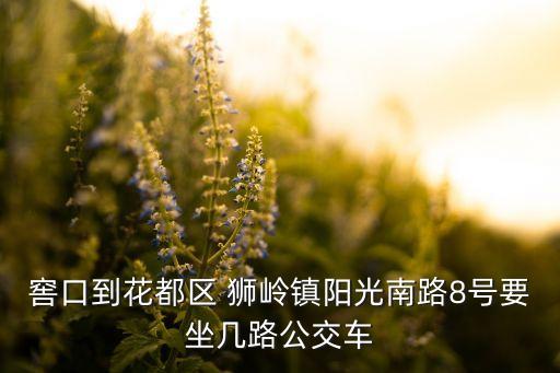 狮岭夜色国际俱乐部