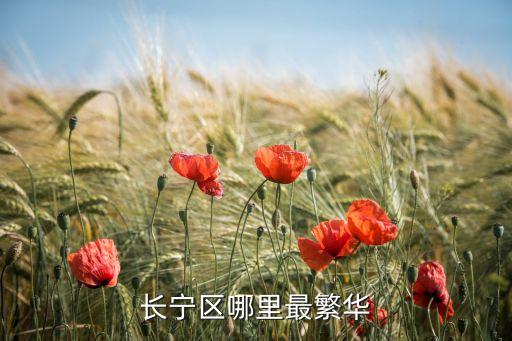 上海丰尚国际生活中心