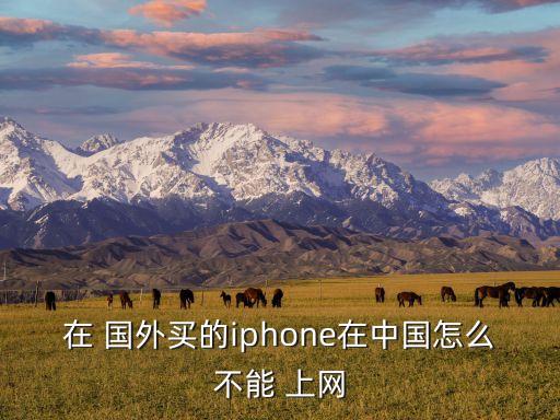 国外手机国内上网,华为手机国外上网怎么设置