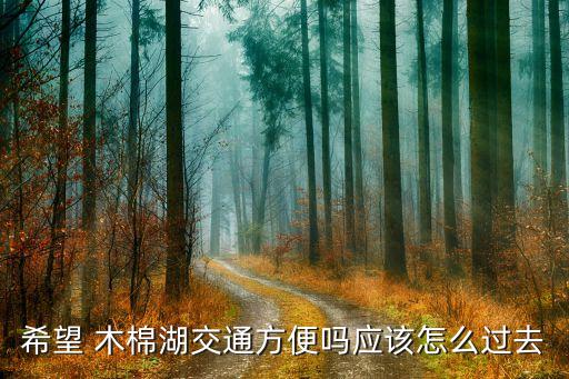 海南木棉湖国际度假区样板房图,木棉湖国际养生度假区介绍