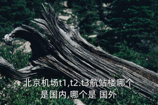国外回来的是到上海T1还是T2