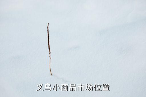义鸟国际新村j