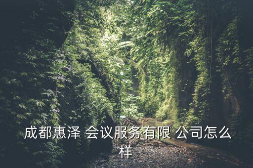 成都会议公司国外,成都做会议的公司