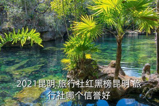 国海云南国际旅行社有限公司,云南国海建筑劳务有限公司