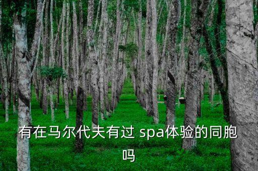 关于国外spa的博客