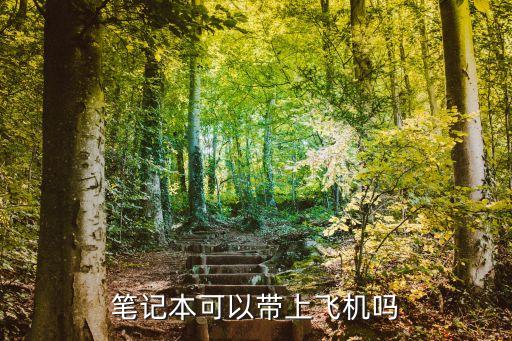 国际航空电脑能托运吗