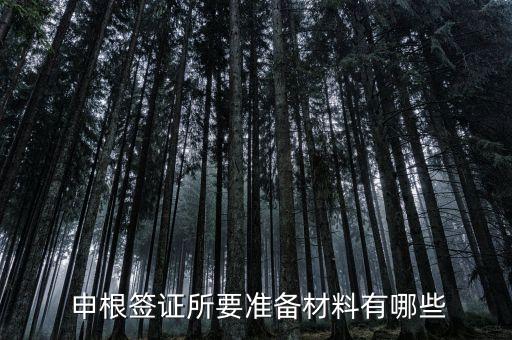 国外申请申根,在国外可以办理申根签么