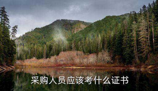 国外采购证,国外工业品采购平台