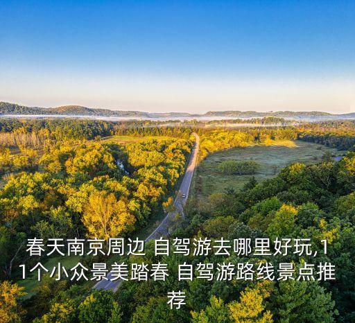 春季国外自驾喜欢去哪儿旅游