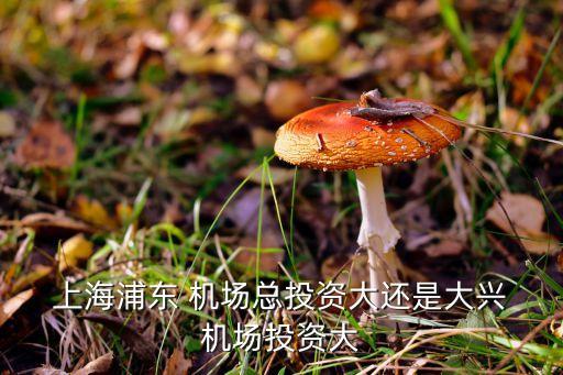 上海浦东国际机场设计
