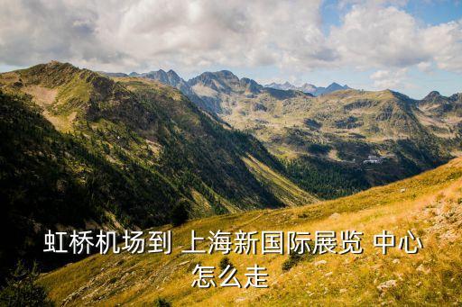 上海虹桥到新国际博览中心地铁站