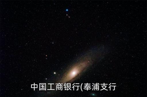 奉贤区森勤国际地址