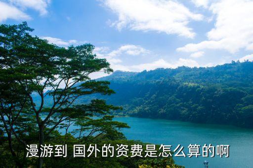 国外国际漫游流量,在国外没有开国际漫游 用流量有用吗