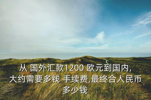 国外转账手续费欧元,paypal转账给国外账户手续费