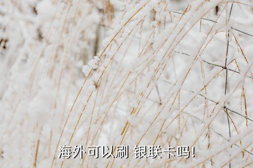 在国外能刷中国银联卡吗,国外刷银联卡还是visa卡