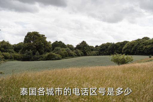 36国际区号,0800是哪里的国际区号