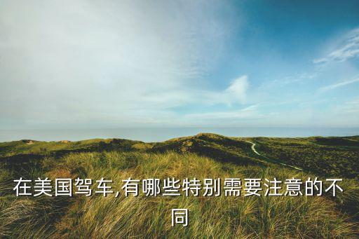 国外租车 保险ldw,租车保险50一天有必要买吗
