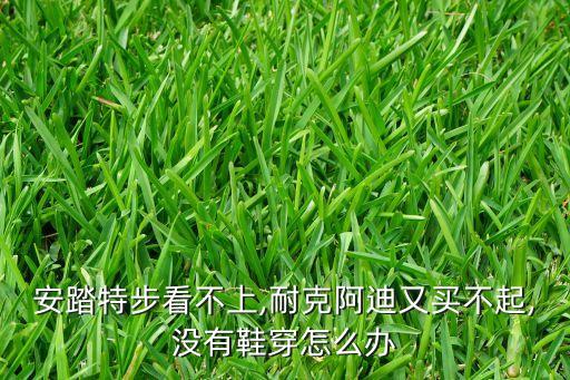 国外买阿迪比国内便宜多少