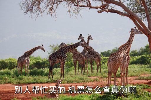 国际机票如何确认真假