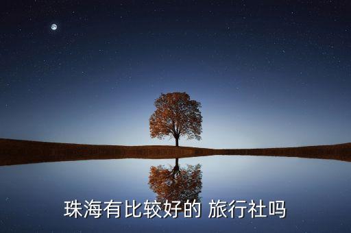 金鹏国际旅行社,陕西金鹏国际旅行社有限公司