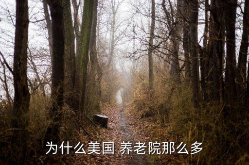 国外知名养老机构,国外养老机构研究现状