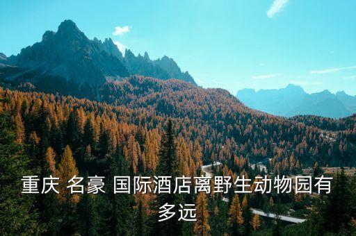 名豪国际c图片,重庆名豪国际酒店