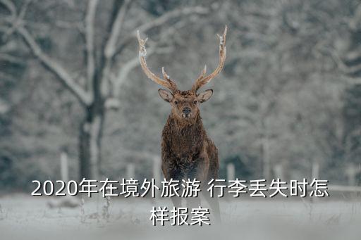 行李丢国外怎么处理,国外行李额怎么买