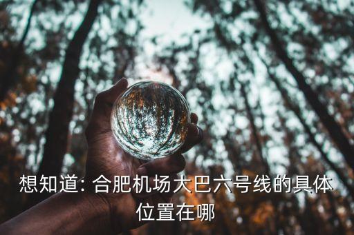 合肥国际港是什么,合肥高新国际企业港
