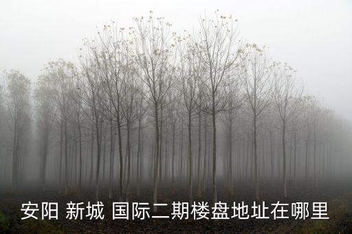 东胜新城国际在哪里,东胜天佐新城国际