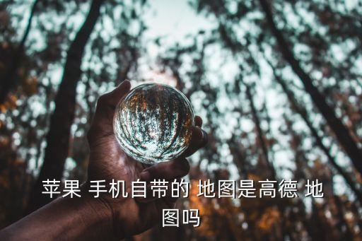 苹果手机国外用什么地图