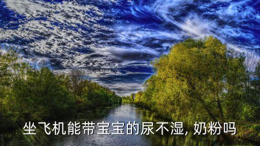 国际航班 奶粉随身带