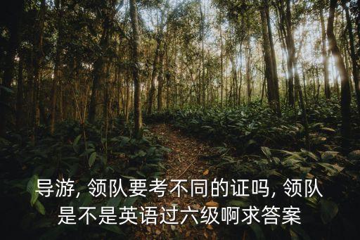 国外领队需要什么条件,领队证怎么考需要什么条件