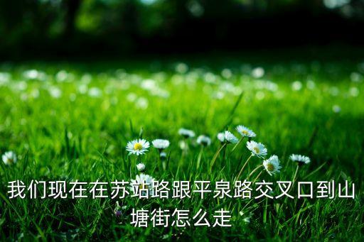 苏州 铃兰国际潜水,铃兰国际潜水俱乐部