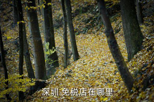 深圳宝安国际机场国内免税店