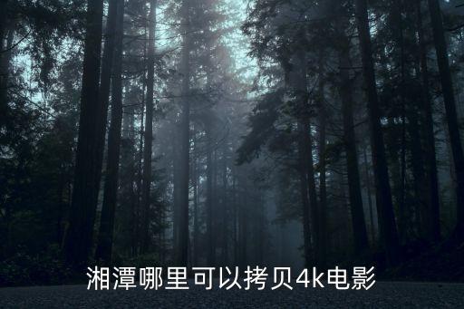 潇湘国际影城能退票吗,博纳国际影城怎么退票