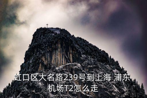 天潼路到浦东国际机场