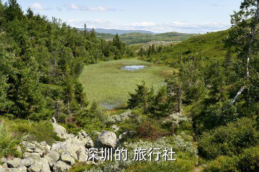 深圳海外国际旅行