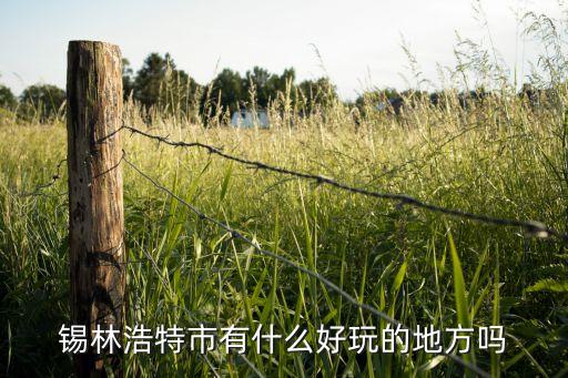 锡林浩特市有什么好玩的地方吗