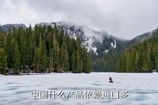 中国什么产品依赖进囗多