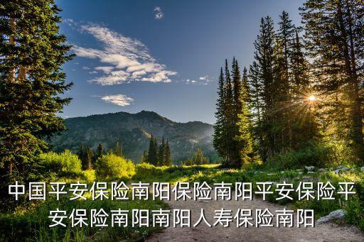 中国平安保险南阳保险南阳平安保险平安保险南阳南阳人寿保险南阳