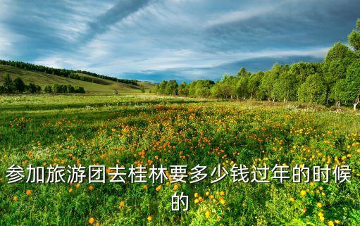 参加旅游团去桂林要多少钱过年的时候的
